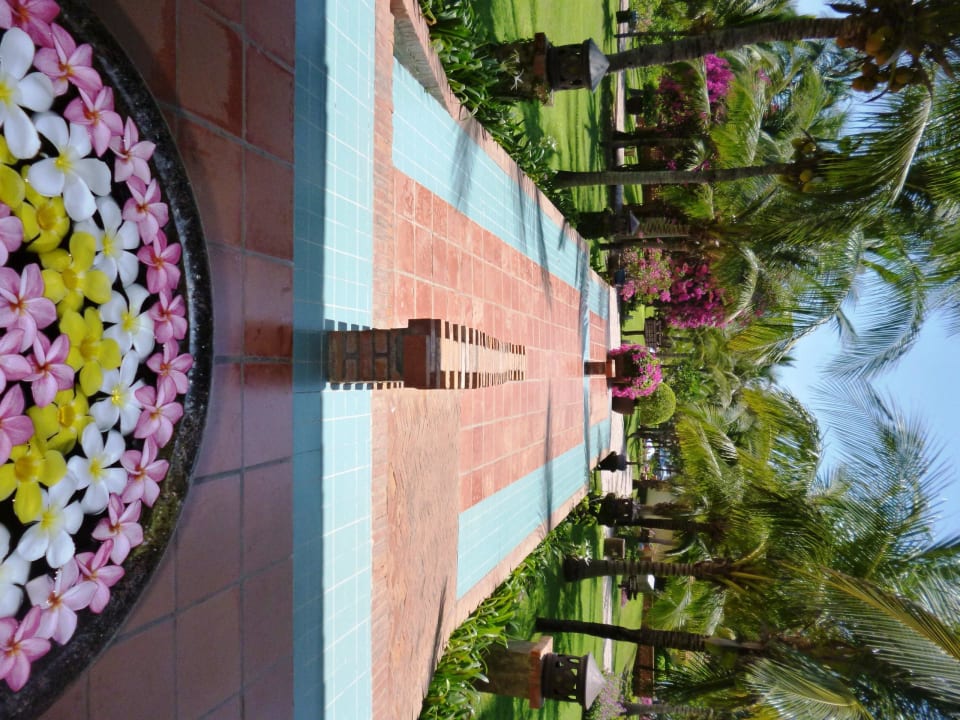 Schöne Park mit Hotelgebäuden Pandanus Resort
