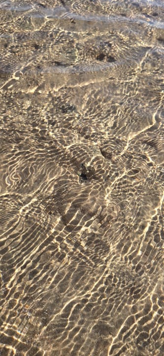 Strand Steigenberger Resort Ras Soma