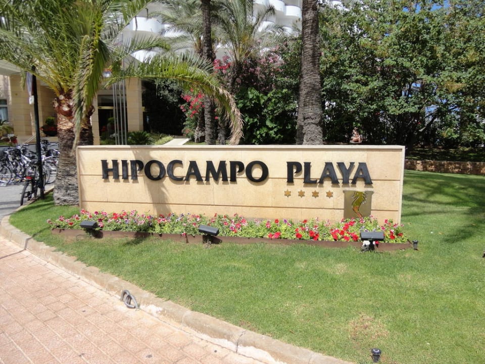 Hipocampo Playa Hipotels Hipocampo Playa