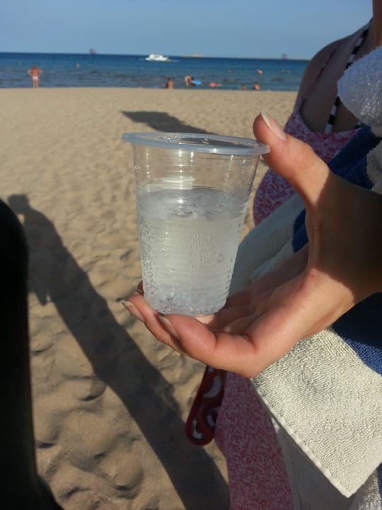 Getränke aus Bechern Shams Safaga Resort