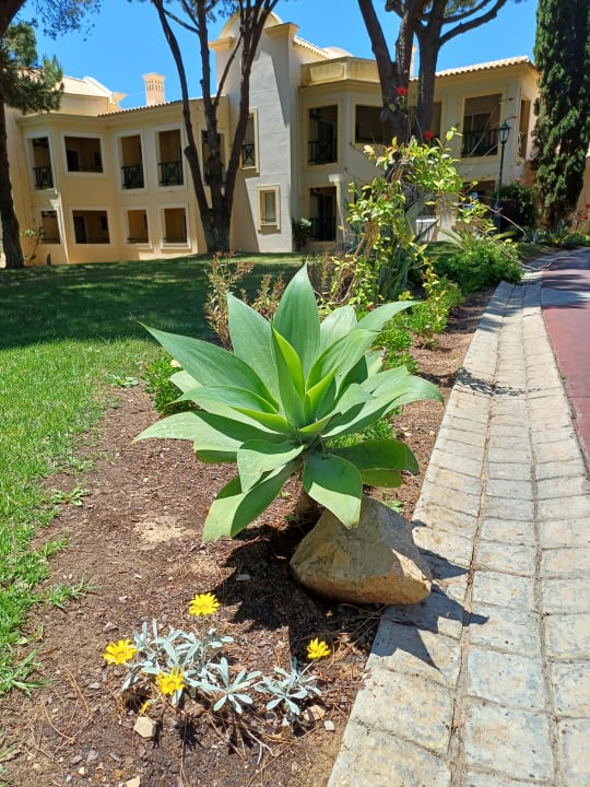 Gartenanlage AP Adriana Beach Resort