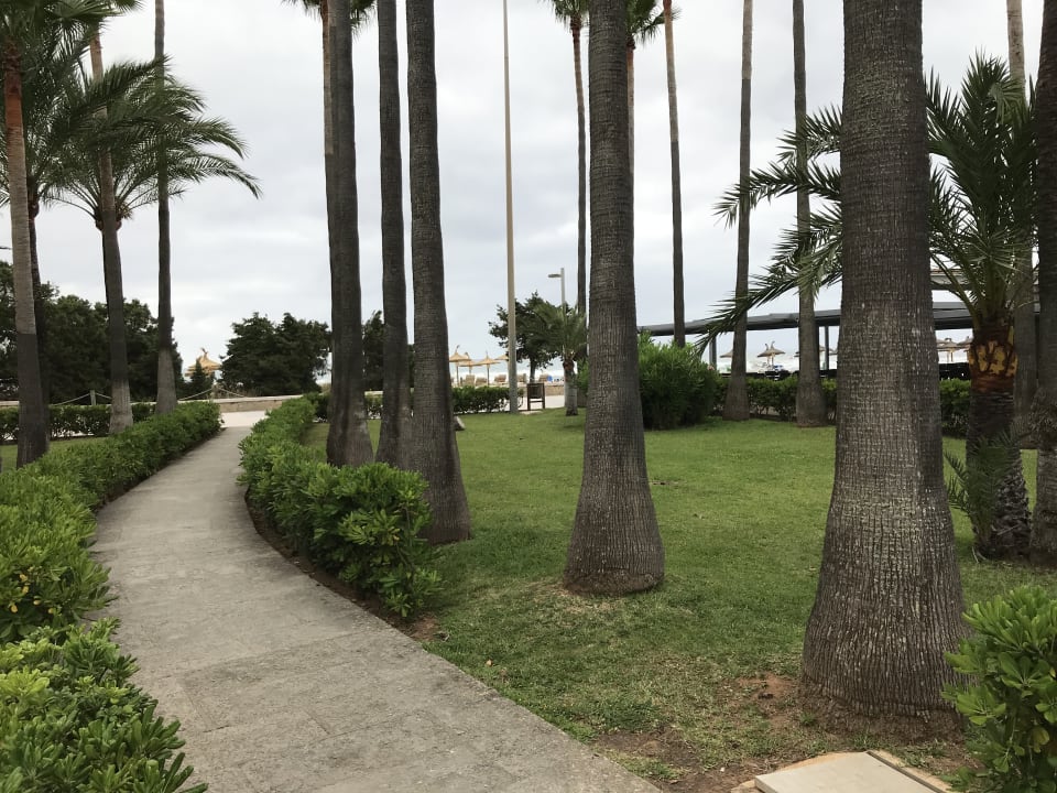 Strand Hipotels Mediterraneo Club