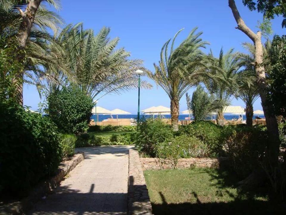Blick vom Bungalow Menaville Safaga