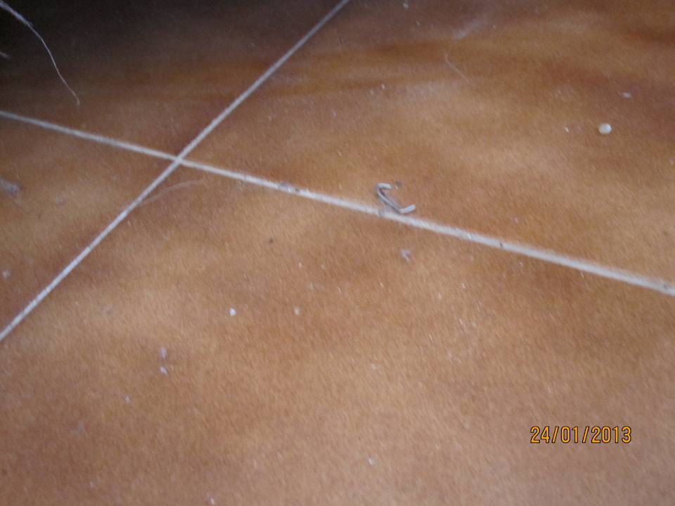 Zimmerboden Bei Juan Playa Blanca