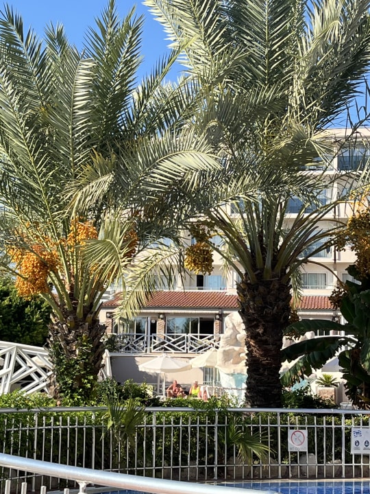 Gartenanlage Seaden Corolla Hotel