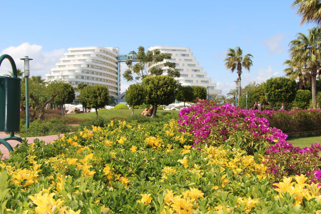 Schöne Blumen Hotel Miracle Resort