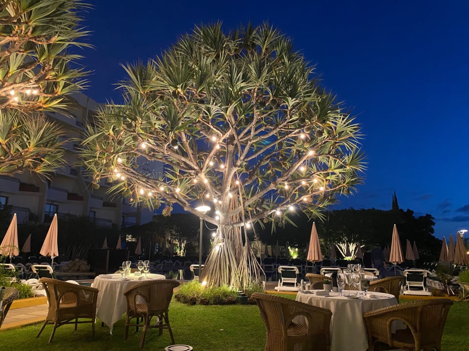 Gartenanlage Hotel Porto Mare - PortoBay