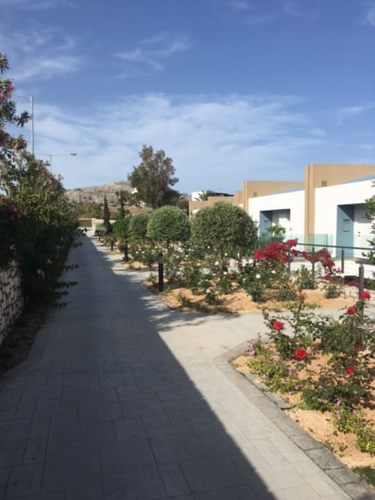 Ausblick Princess Andriana Resort & Spa