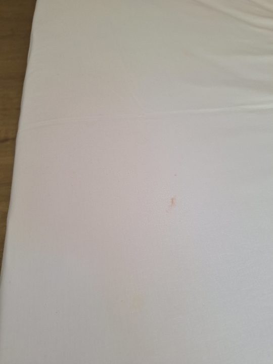 Zimmer Calimera Fido Gardens