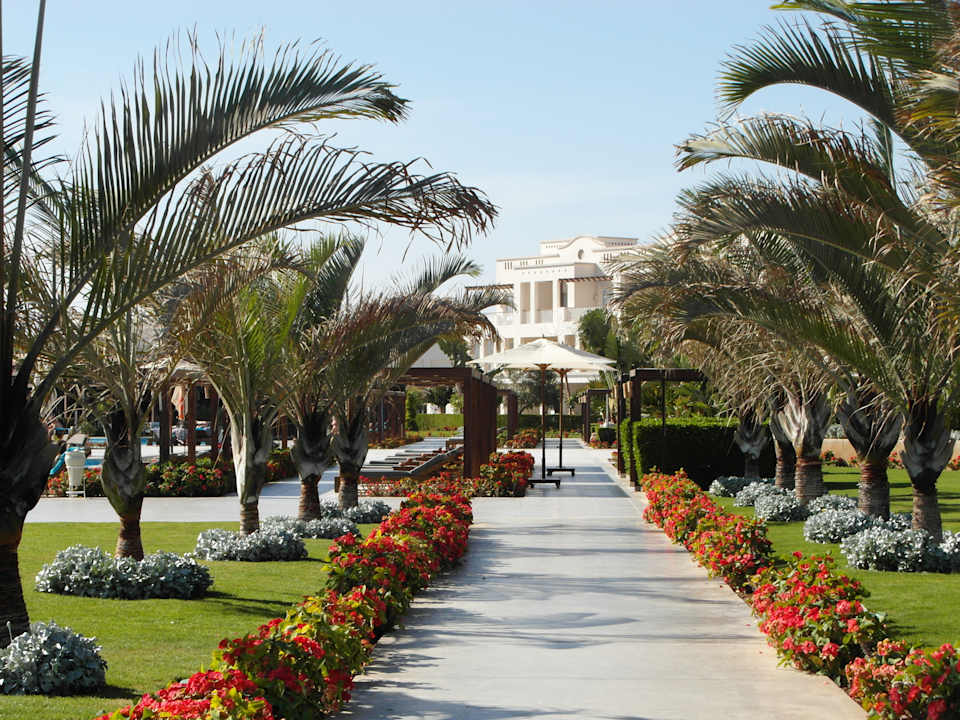 Gartenanlage Steigenberger Coraya Beach - Adults only