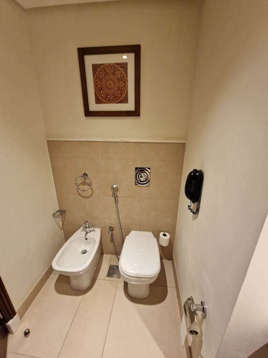 Zimmer Ajman Saray, a Luxury Collection Resort