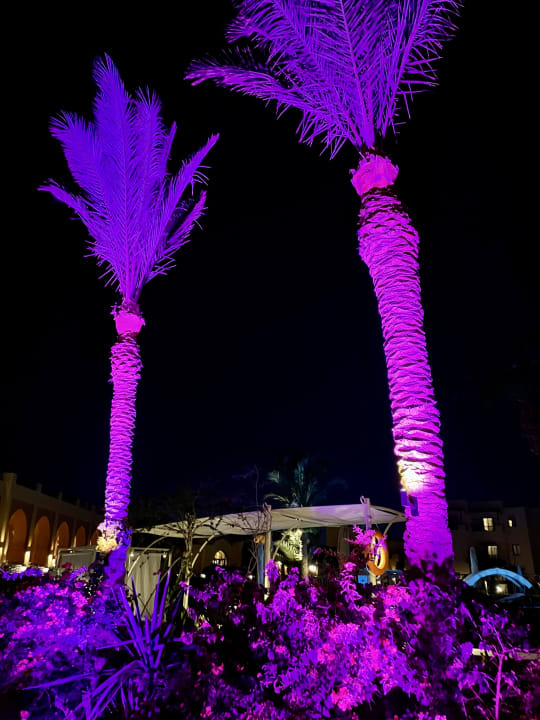 Gartenanlage Steigenberger Coraya Beach - Adults only