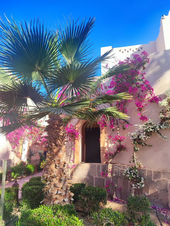 Zimmer Dream Lagoon Resort & Aqua Park