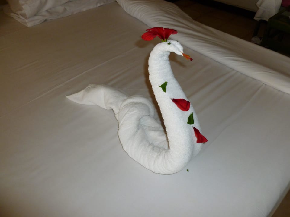 Schöne Bettdeko Ghazala Beach