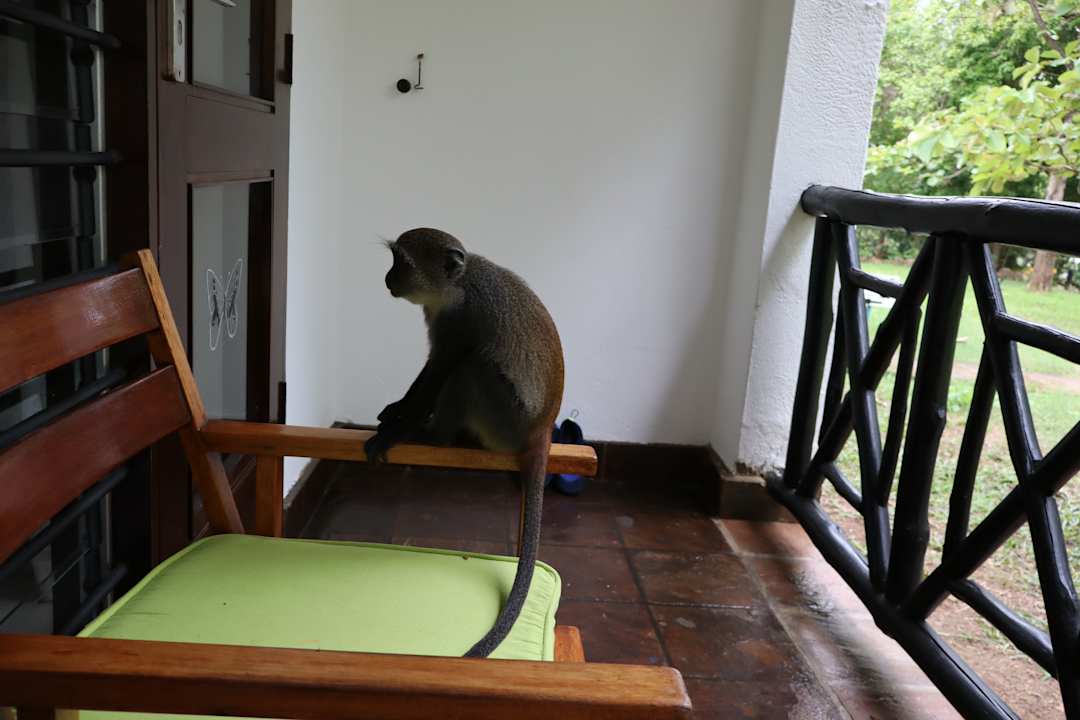 Sonstiges Hotel Papillon Lagoon Reef