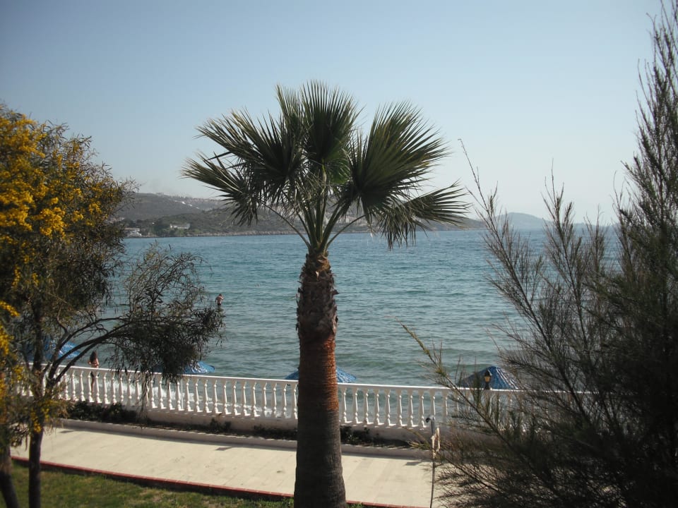 Hotelaussicht Tusan Beach Resort
