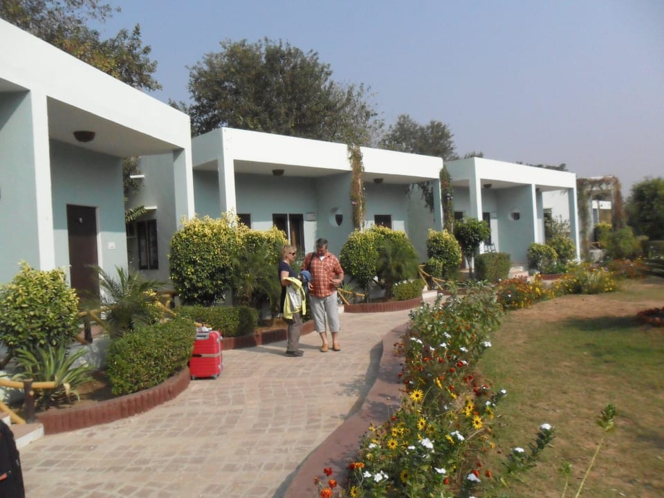 Garten mit Bungalows Hotel The Pugmark