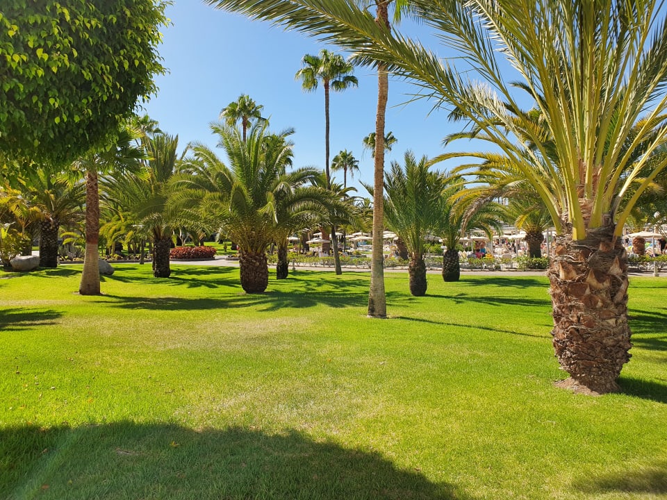 Gartenanlage Hotel Riu Gran Canaria