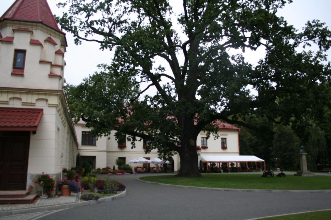 Wspaniały dąb Hotel Zamek Dubiecko