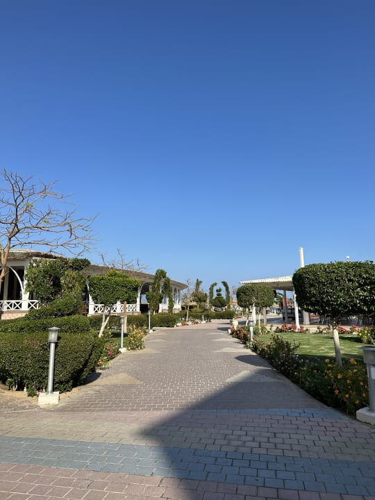 Gartenanlage Jaz Soma Beach