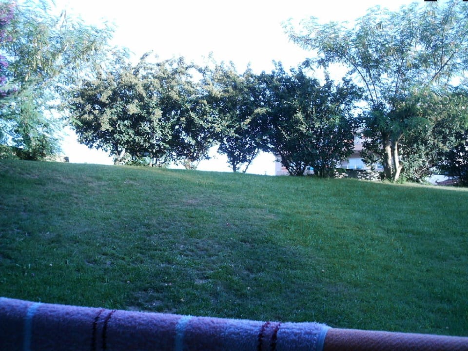 Blick ins Grüne Greenwood Kemer Resort