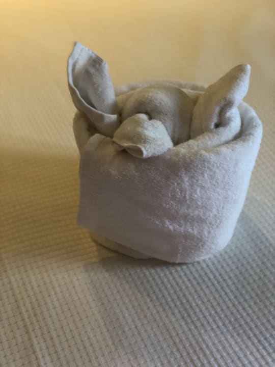 Zimmer TUI BLUE Oceanis Beach and Spa Resort