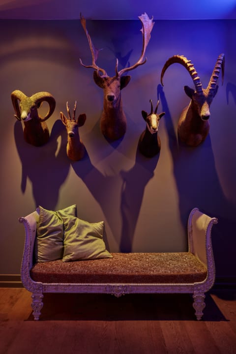 Sonstiges 25hours Hotel The Royal Bavarian