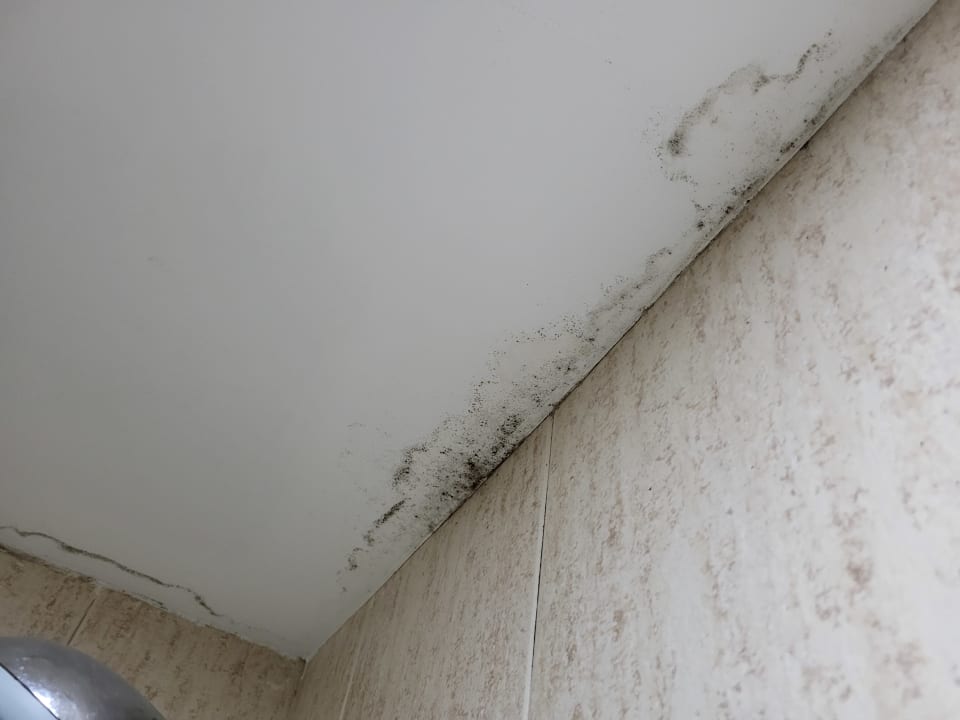 Zimmer Suites & Villas by Dunas