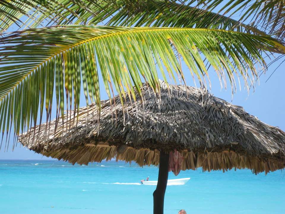 Traumhafter Blick aufs Meer Grand Palladium Select Bávaro Resort & Spa