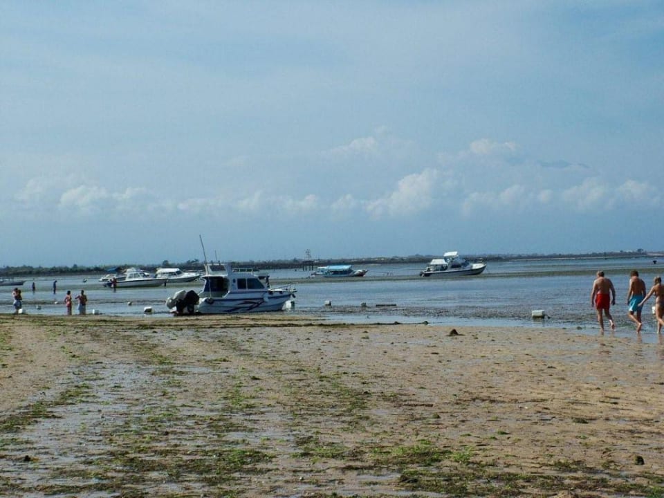 Strand bei Ebbe, Novotel Benoa Bali Novotel Bali Benoa Hotel