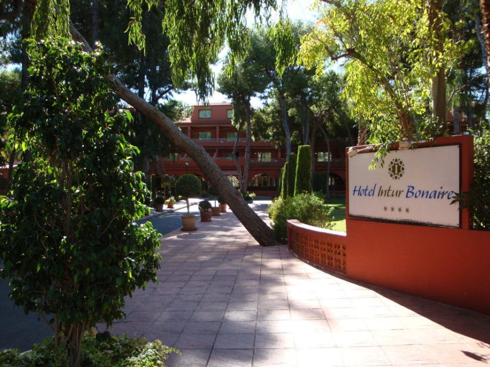 Eingang zum Hotel Hotel Intur Bonaire