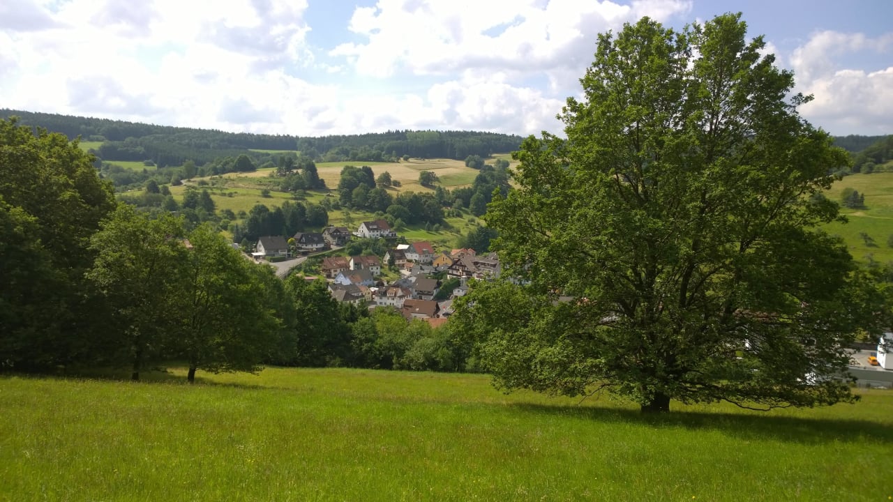 Aussicht Landhotel Spessartruh