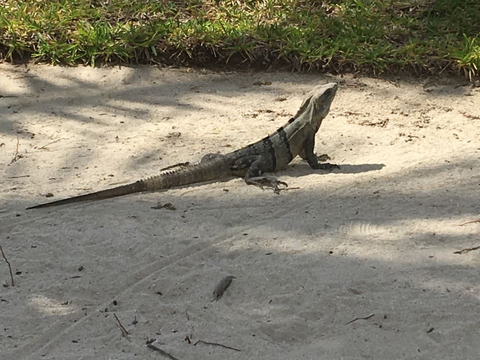 Sonstiges Akumal Bay Beach & Wellness Resort