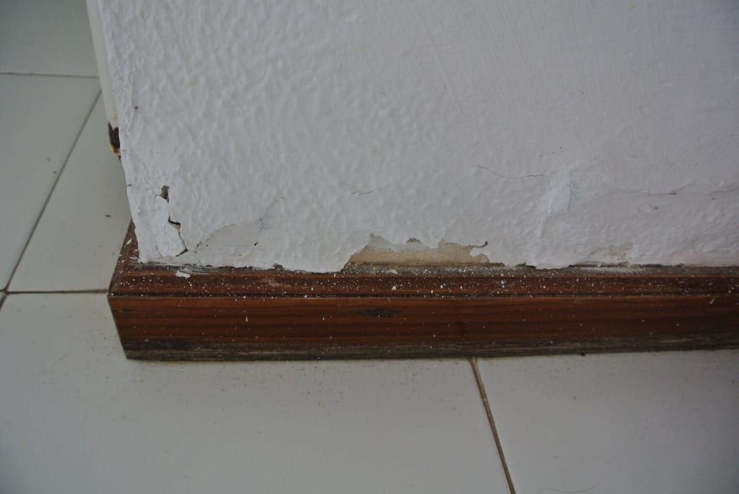 Fußleiste Küche Oasis Lanz Beach Mate