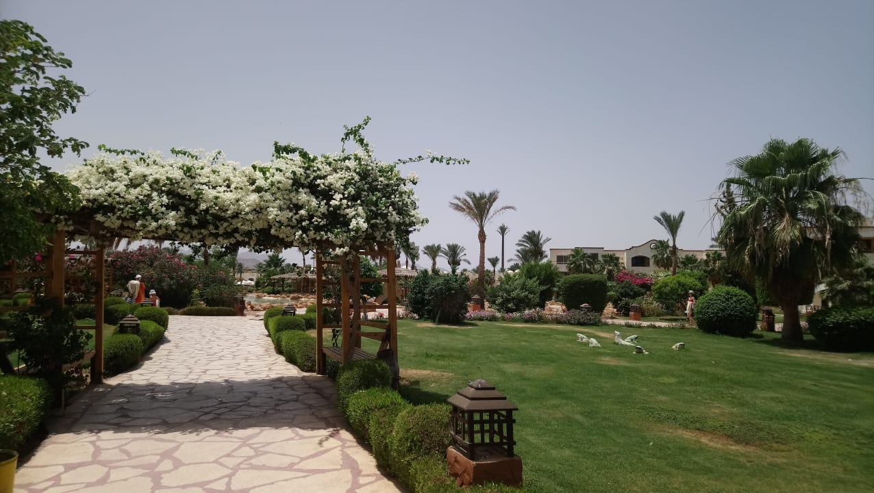 Ausblick Regency Plaza Aqua Park & Spa