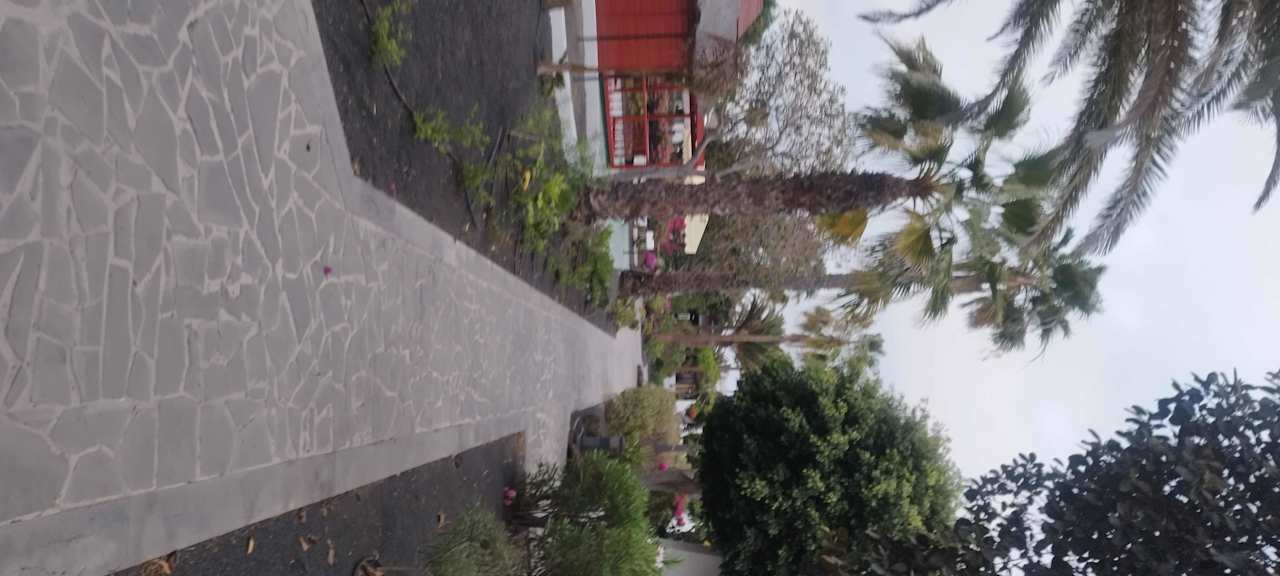 Gartenanlage allsun App.-Hotel Albatros