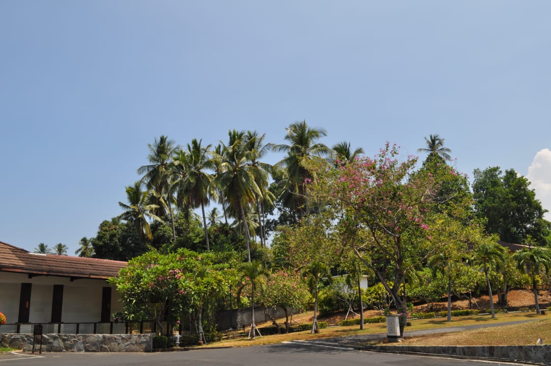 Garten Hotel Grand Luley Resort