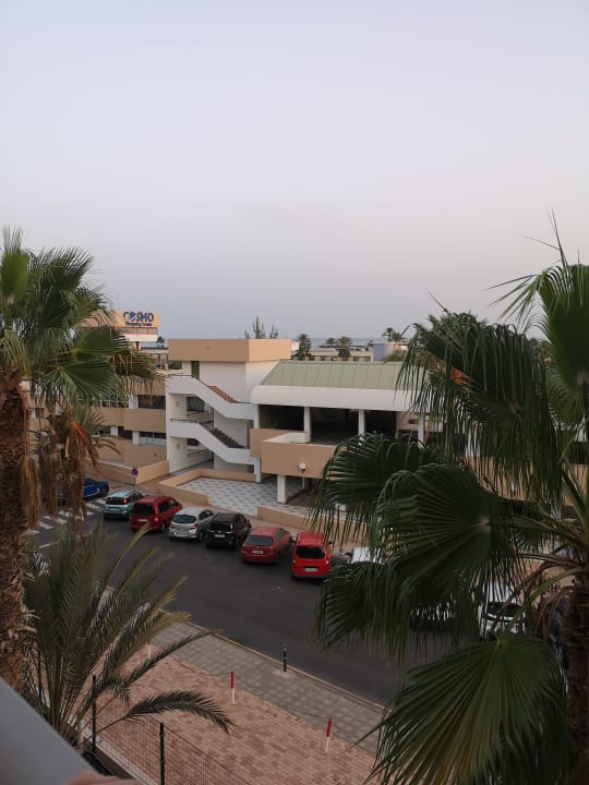 Gartenanlage Servatur Alameda de Jandía