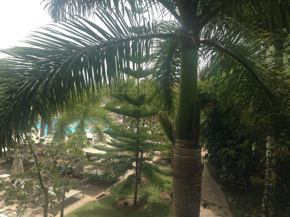 Ausblick aus Zimmer 3222 auf Ruhepool Lopesan Villa del Conde Resort & Thalasso