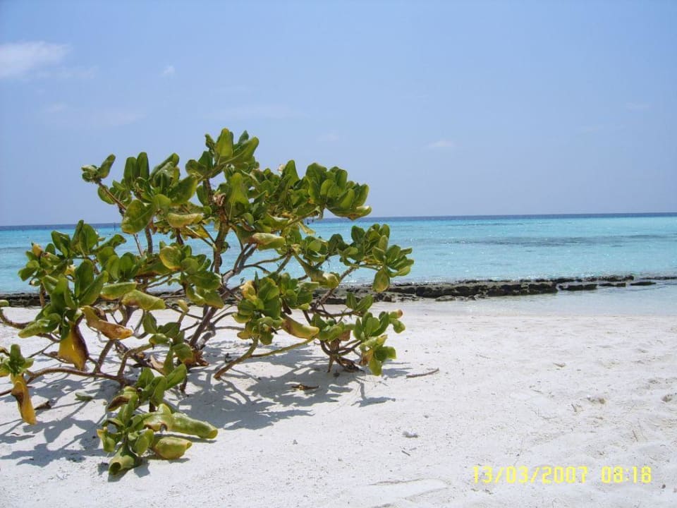 Die Wasserbungis Summer Island Maldives