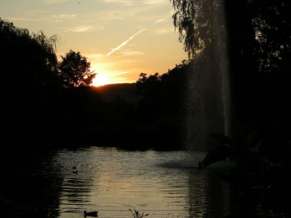 Weiher am Hotel Hotel am Kaiserbrunnen