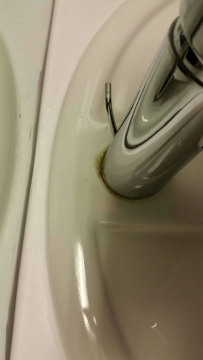 Grüner Grindrand im Waschbecken All In Red Thermenhotel