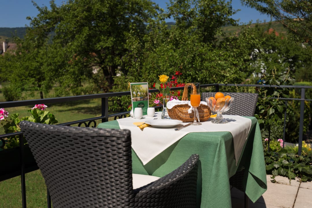 Ausblick Hotel Garni Donauhof
