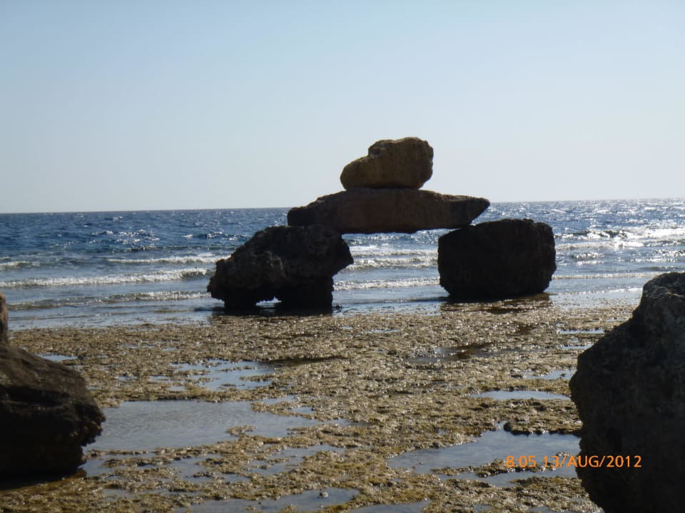 Strand bei Ebbe Pickalbatros Citadel Resort
