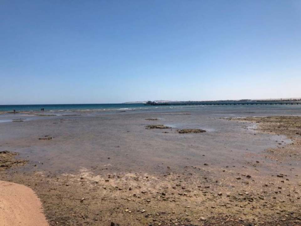 Strand Pickalbatros Palace Resort