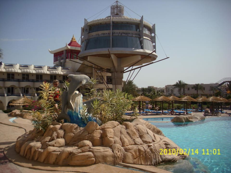 Okolice basenów Seagull Beach Resort