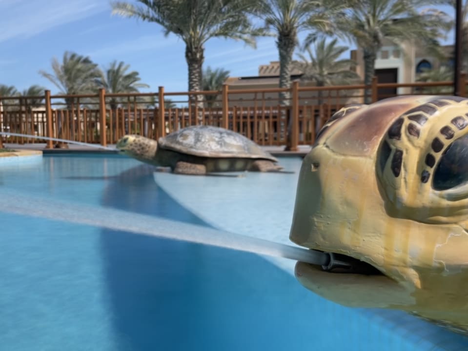 Pool Saadiyat Rotana Resort &  Villas