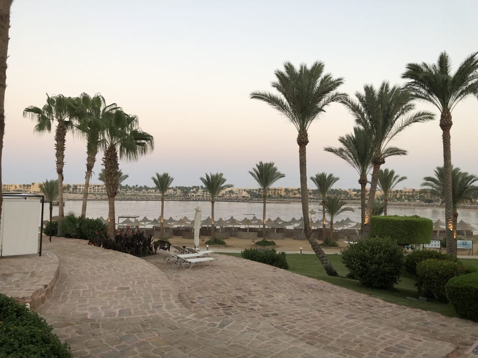 Garten Steigenberger Coraya Beach - Adults only