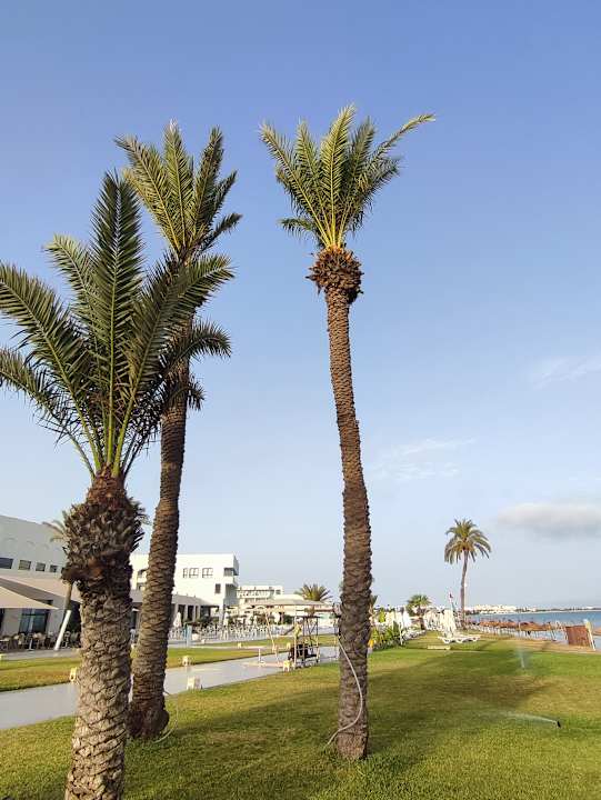 Außenansicht Iberostar Selection Kuriat Palace