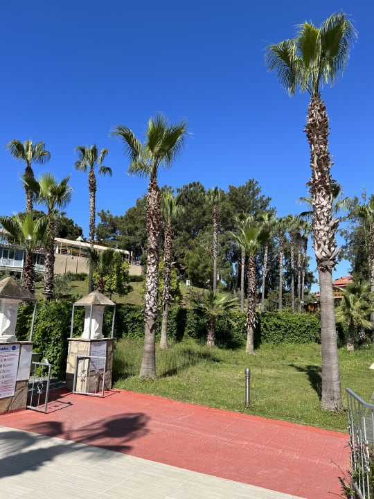 Gartenanlage Club Sidelya Hotel